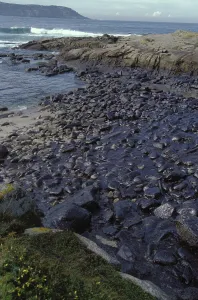Disasters: Galicia Oil Spill