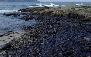 Disasters: Galicia Oil Spill