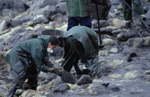 Disasters: Galicia Oil Spill