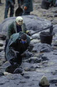Disasters: Galicia Oil Spill