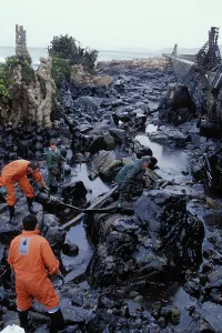 Disasters: Galicia Oil Spill