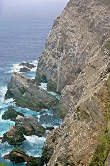 Thousands: Gannetry - jagged rocks and cliffs with thousands