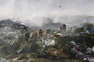 Stray: Garbage Dump
