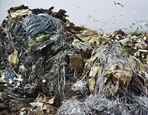 Refuse: Garbage Dump
