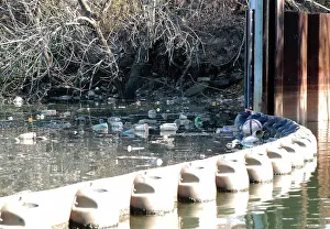 Queens: Garbage Inside Containment Boom on Newtown Creek