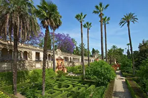 Espaa: Garden in the Alc&, xe1;zar of Seville, Seville