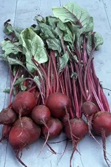 Beet: Garden Beets