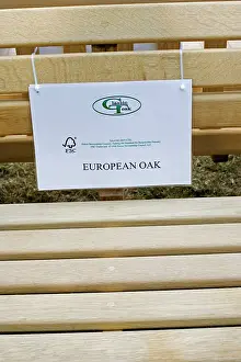 Benches: Garden bench with FSC logo made of European oak