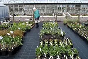 Shopping: Garden Centre