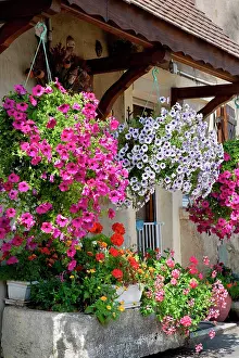 Flourished: Garden flowers and flourished house, Alsace, France