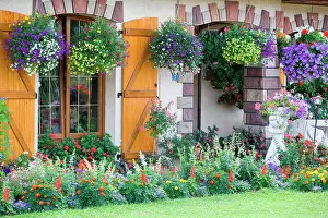 Flourished: Garden flowers and flourished house, Alsace, France