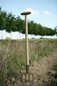 Ordinary: Garden Fork