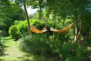 Hammocks: Garden - with hammocks