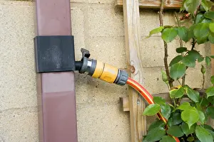 Hosepipes: Garden - hosepipe connected to rainwater diverter