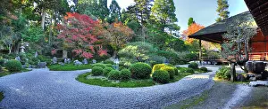 Acer: Garden at Manshu-in temple in autumn in Ky&, x134bec;