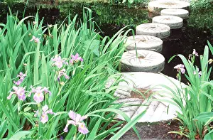 Recycling: GARDEN - Millstones used as stepping stones & southern