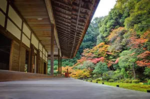 Plastic: Garden of the Nanzenin temple in autumn in Ky&, x134bec;