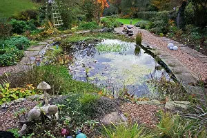 Footpaths: Garden Pond - large artificial pond