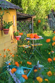 Shack: Garden shack with seating area in july, Provence
