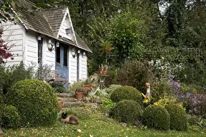 Steps: garden shed and flowerbeds in a garden in autumn