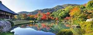 Acer: Garden of Teryuji temple in autumn in Ky&, x134be0;Arashiyama