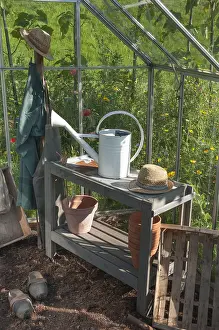 Shelf: Gardener equipment in a greenhouse, summer, Moselle