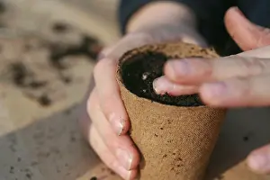 Nurturing: Gardening
