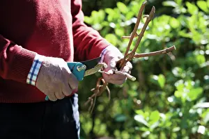 Thumb: Gardening