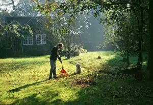 Raking: Gardening - gardener clearing autumn leaves