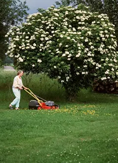 Mowing: GARDENING - Woman Mowing the lawn