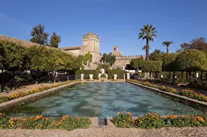 Reyes: Gardens - of the Alcazar de Los Reyes Cristianos