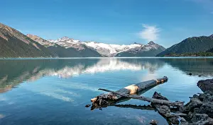 Garibaldi: Garibaldi Lake, tree trunks on the shore, mountains