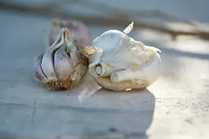 Flavoring: Garlic