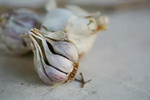 Flavoring: Garlic