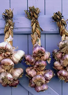 Nostalgic: Garlic