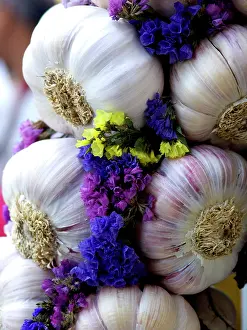 Suspend: Garlic braid