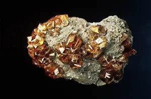 Garnet: Garnet