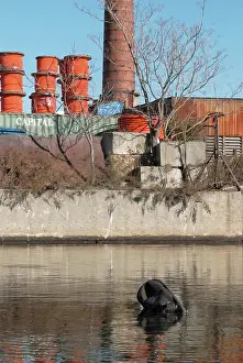 Queens: Gas Tank in Newtown Creek, NYC