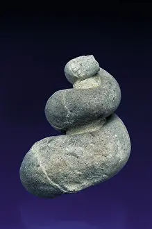 Snails: Gastropod fossil