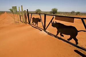 Kenyas: Gate Entrance to The Ngulia Black Rhino Sanctuary