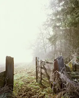 Gates: Gate