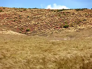Jean-marc La Roque: Gawler Ranger National Park