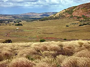 Jean-marc La Roque: Gawler Ranger National Park