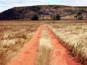 Jean-marc La Roque: Gawler Ranger National Park