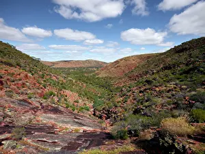 Jean-marc La Roque: Gawler Ranger National Park