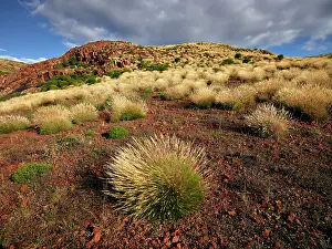 Jean-marc La Roque: Gawler Ranger National Park