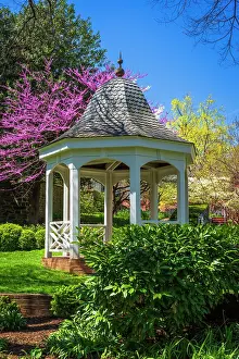 Cityscape: Gazebo and garden, Alexandria, Virginia, USA