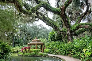 Palm: Gazebo at Washington Oaks Gardens State Park, Palm