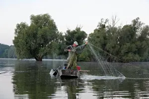 Fishery: The Gemenc Forest in the Danube-Drava National
