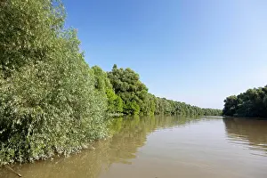 Flooding: The Gemenc Forest in the Danube-Drava National